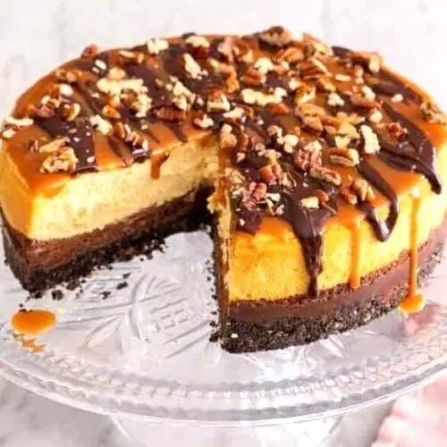 No Bake Turtle Cheesecake Recipe