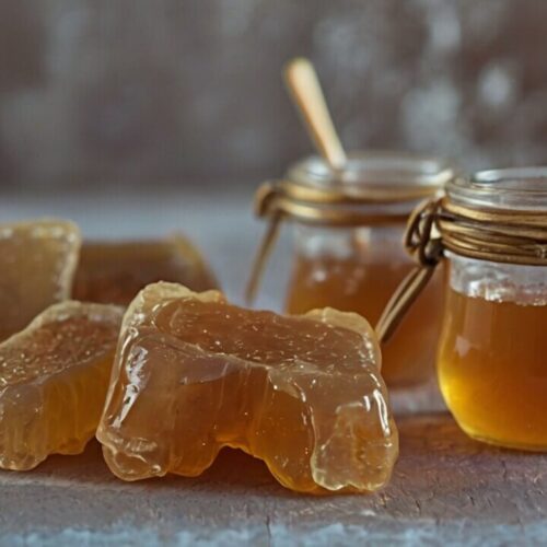 Chicken Bone Broth Gummy Treats Recipe