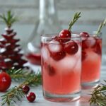 Christmas Cranberry Spritzer Recipe