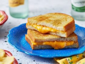 Pioneer Woman Air Fryer Grilled Cheese Recipe